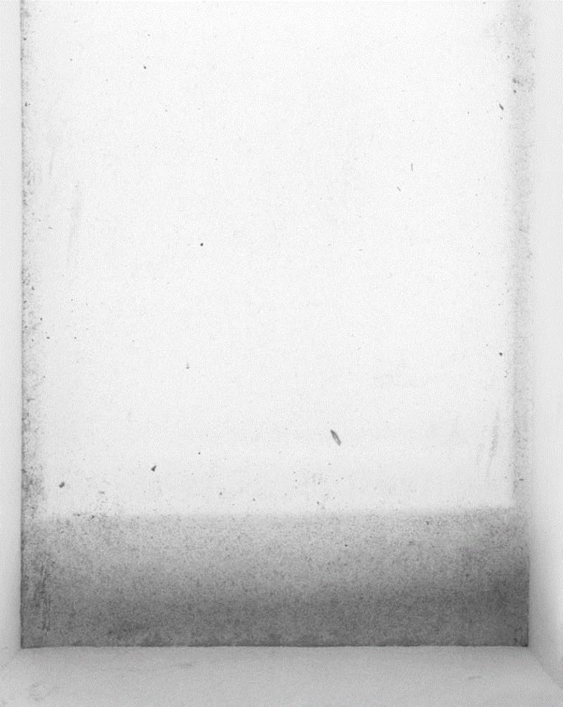 具本昌教你如何“观看”｜《韩国影汇》三影堂教育工作坊,韩国,三影堂教育工作坊,昌教,影汇,课程,工作坊,摄影师,三影堂,学员,Koo