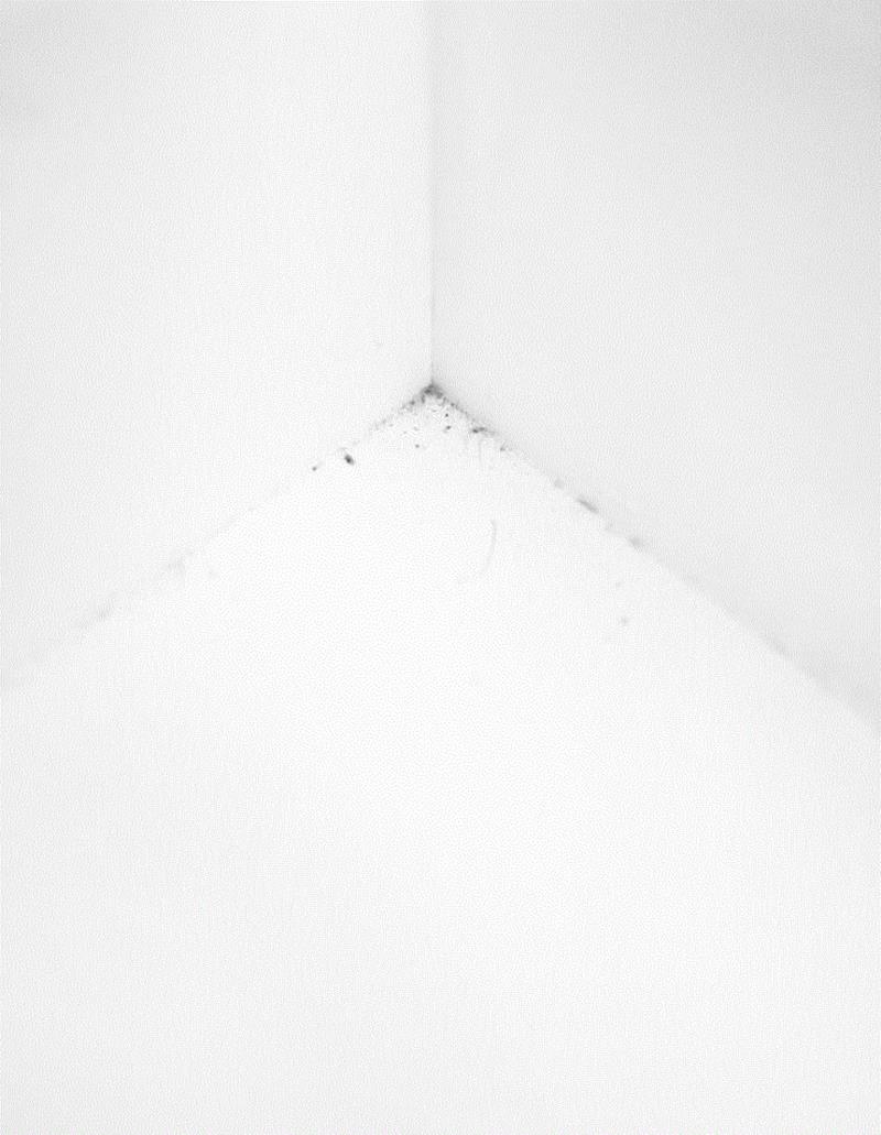 具本昌教你如何“观看”｜《韩国影汇》三影堂教育工作坊,韩国,三影堂教育工作坊,昌教,影汇,课程,工作坊,摄影师,三影堂,学员,Koo