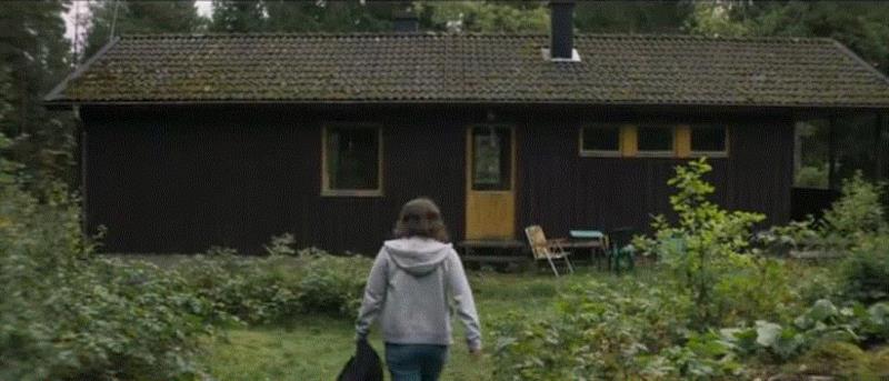 这部重口味奇幻片,看得我浑身发毛!,奇幻片,浑身,口味,蒂娜,沃尔,异类,边境,吸血鬼,男子,人鱼