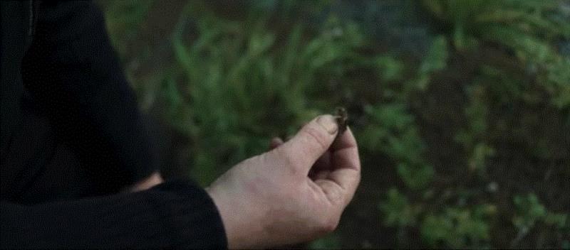 这部重口味奇幻片,看得我浑身发毛!,奇幻片,浑身,口味,蒂娜,沃尔,异类,边境,吸血鬼,男子,人鱼