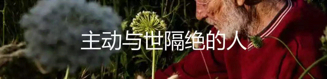 日本当代蛰居者的困境,日本,蛰居者,蛰居族,社交,科技,案例,加藤,媒体,泰奥,优点