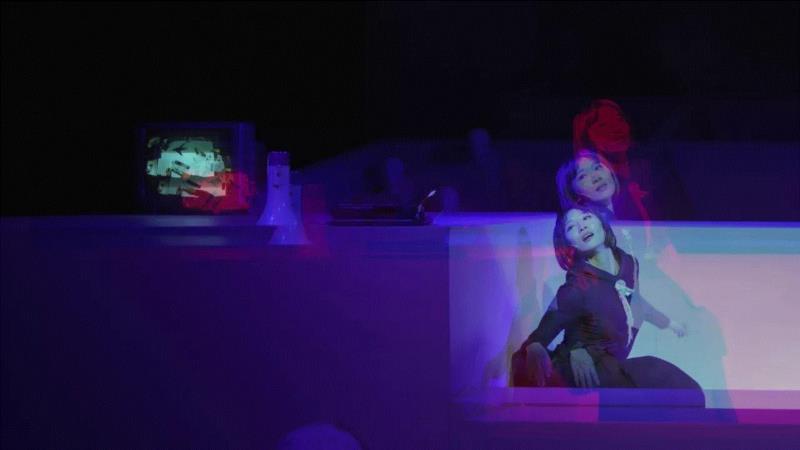 爱情也同样遵循万有引力吗?,爱情,万有引力,作用力,物体,蜂巢剧场,引力,来信,吸引力,万物,定律