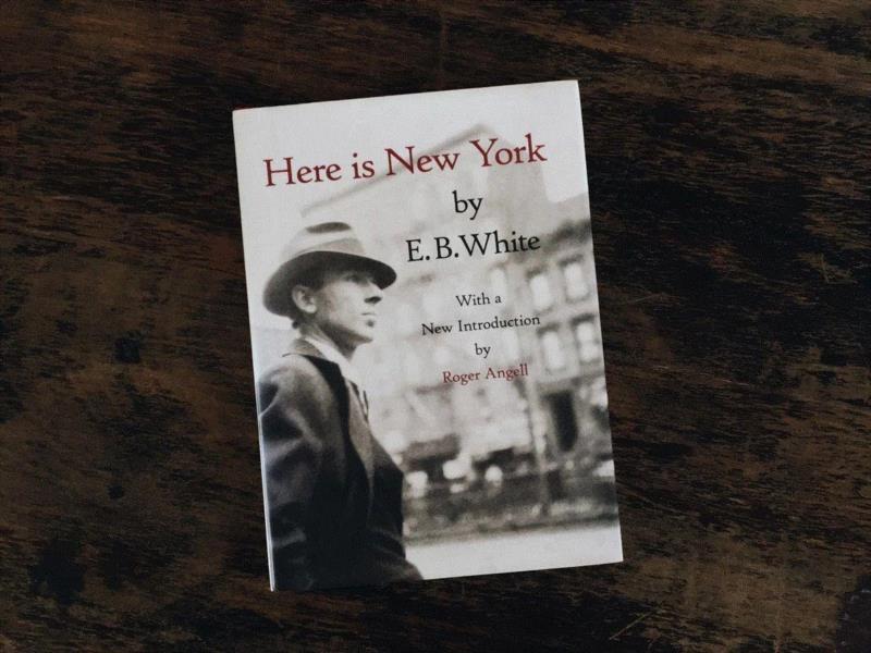 E.B.怀特的文笔与他的纽约，相互相成,为什么说粤港澳大湾区是未来中国城市群的样板