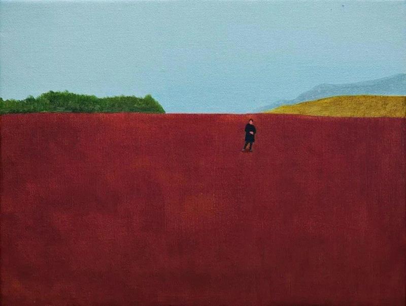 色块的组合,充满视觉冲击力,色块,上方,Tio,西班牙,美的,互补色,小编