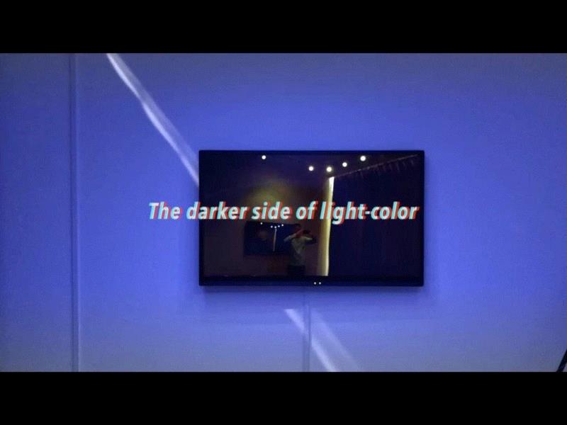 【OCAT上海馆｜讲座回顾】现实有多么真实