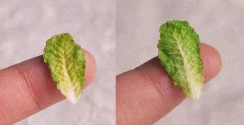 微缩丨95后中国妹子把老成都变成“小儿国”,惊艳米兰!,成都,微缩丨,95后,妹子,小儿国,米兰,子倩,模型,游乐场,副食店