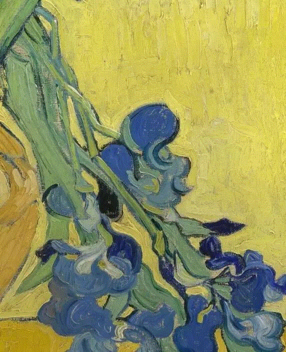 这些大师笔下的花花世界，并不是你想的那么简单！,花花世界,印象派,法国,莫奈,塞尚,梵高,雏菊,向日葵,雷东,阴影