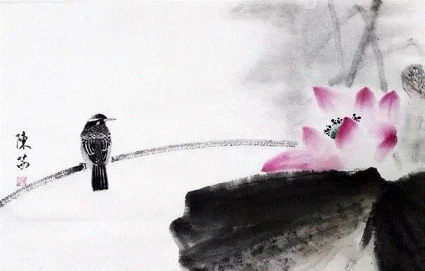 这组水墨,别有意韵!,水墨,意韵,上方,荷韵,荷花