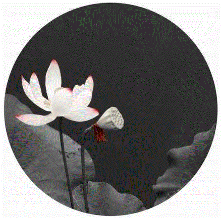 这组水墨,别有意韵!,水墨,意韵,上方,荷韵,荷花