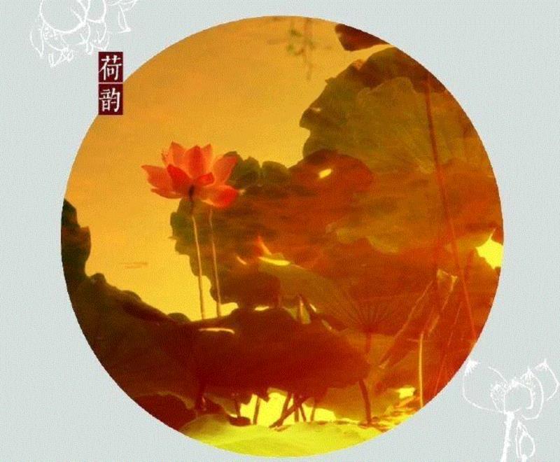 这组水墨,别有意韵!,水墨,意韵,上方,荷韵,荷花