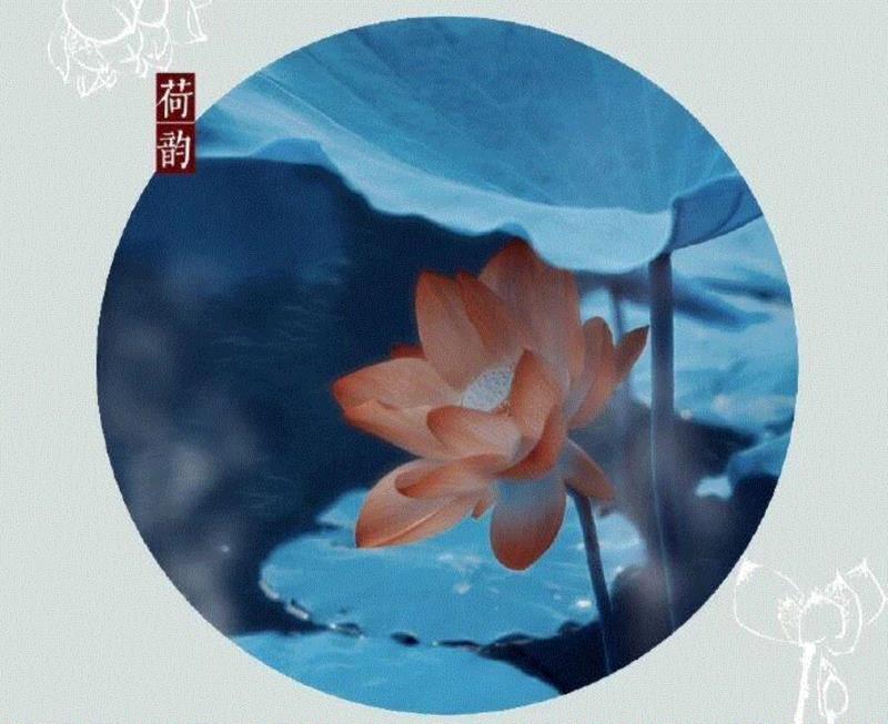 这组水墨,别有意韵!,水墨,意韵,上方,荷韵,荷花