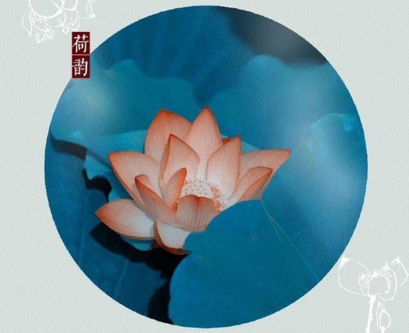 这组水墨,别有意韵!,水墨,意韵,上方,荷韵,荷花