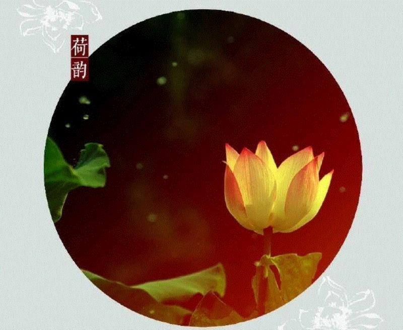 这组水墨,别有意韵!,水墨,意韵,上方,荷韵,荷花