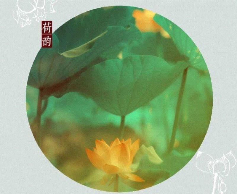 这组水墨,别有意韵!,水墨,意韵,上方,荷韵,荷花