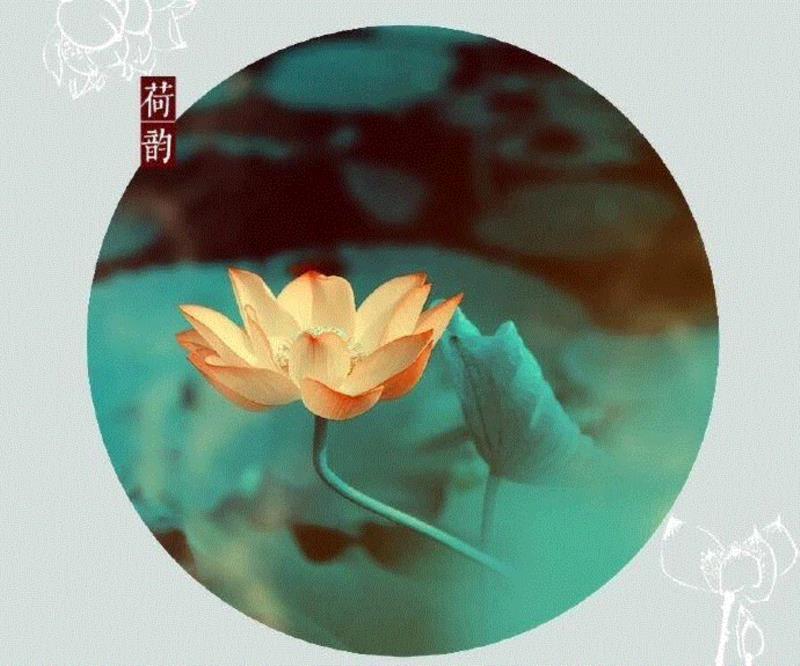 — END —,这组水墨,别有意韵!,水墨,意韵,上方,荷韵,荷花