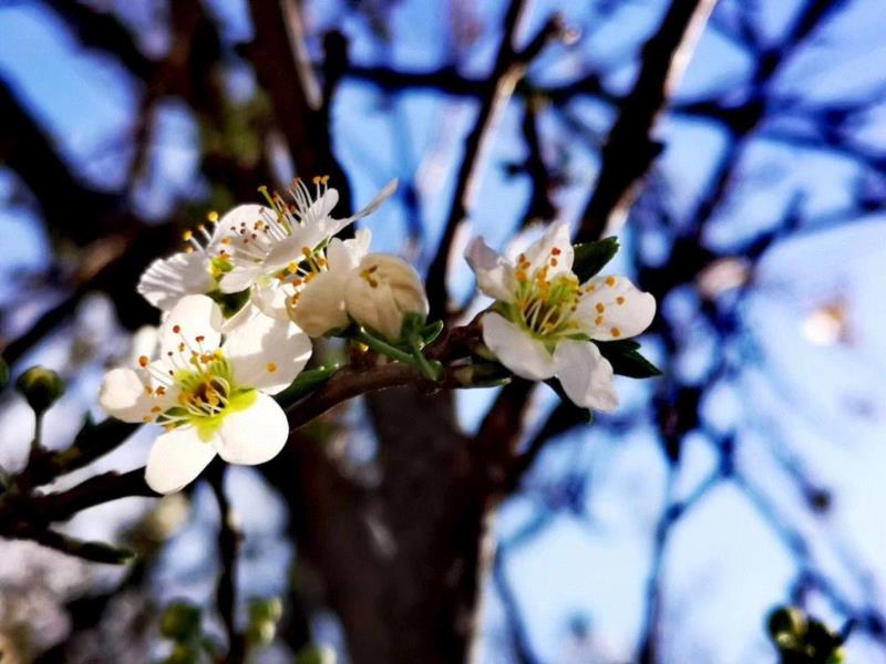 @雨墨,文艺 ▎雨水。,雨水,降水,草木,节气,天氣,鴻雁,月令,中天,木然生木者,东风