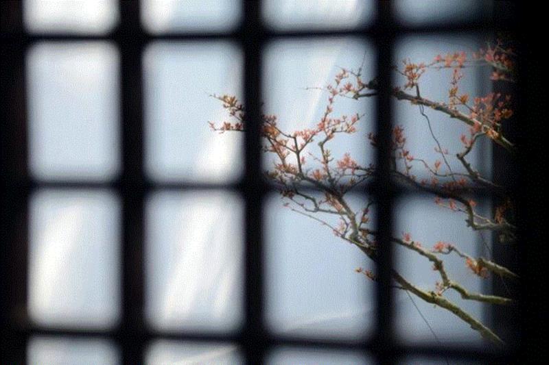 文艺 ▎雨水。,雨水,降水,草木,节气,天氣,鴻雁,月令,中天,木然生木者,东风