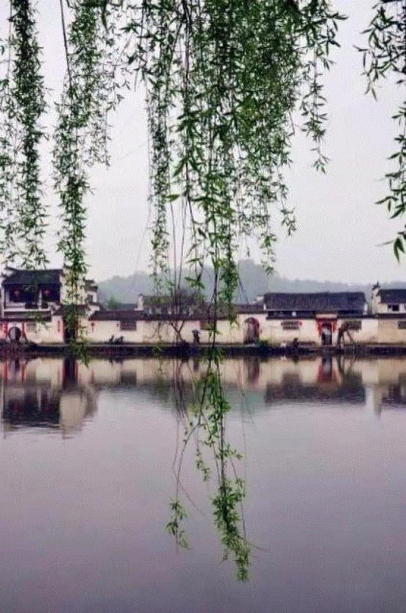 文艺 ▎雨水。,雨水,降水,草木,节气,天氣,鴻雁,月令,中天,木然生木者,东风