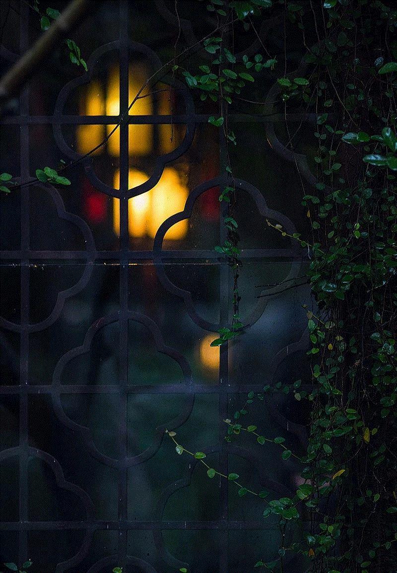 窗里窗外，云去云来,窗外,云去云,园林,李渔,心理,造园,古代,建筑,景区,情境