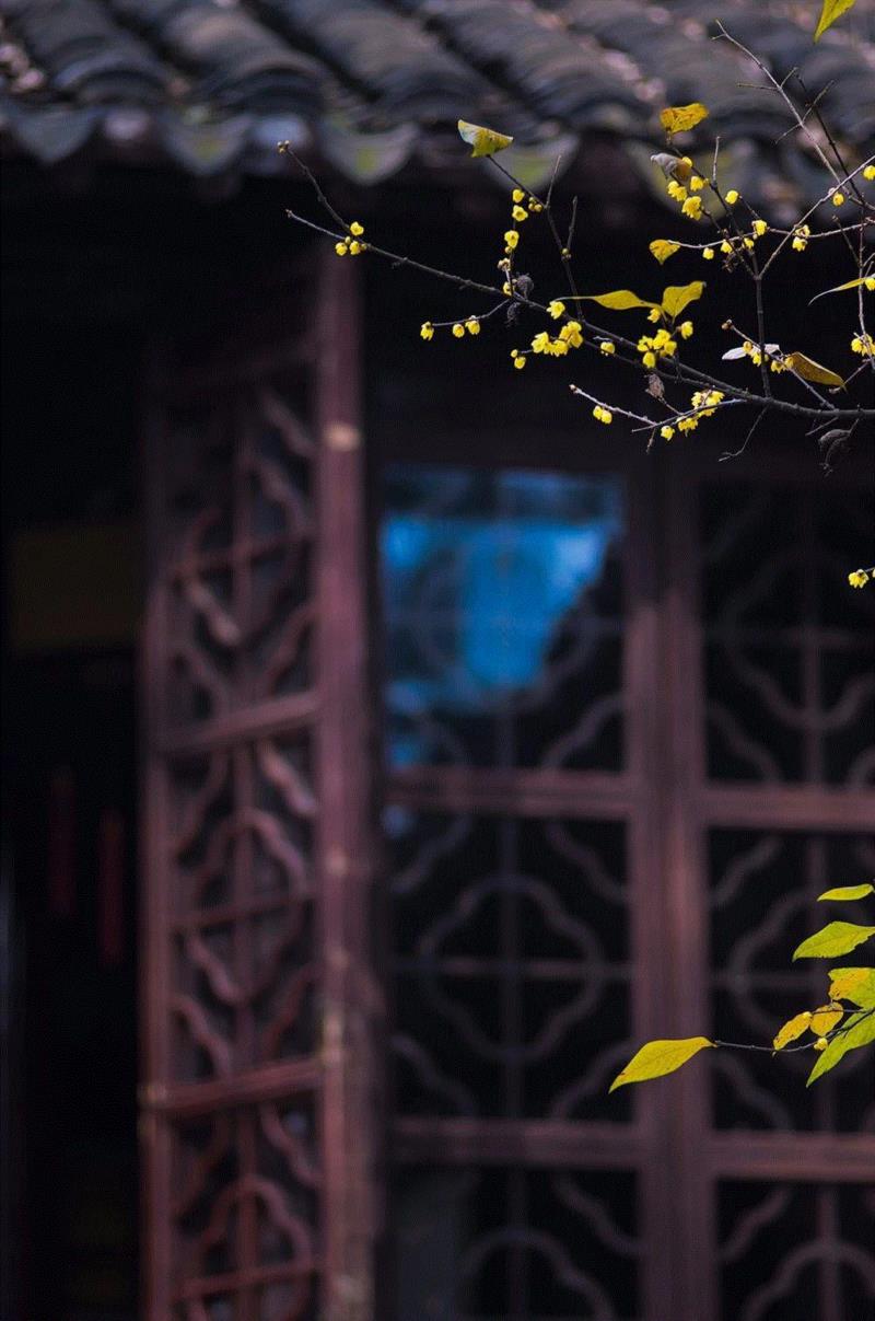 窗里窗外，云去云来,窗外,云去云,园林,李渔,心理,造园,古代,建筑,景区,情境