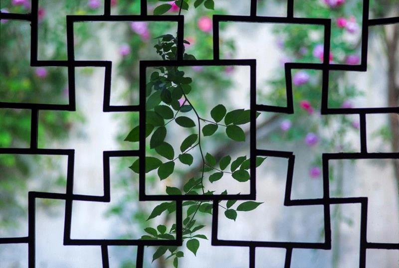 窗里窗外，云去云来,窗外,云去云,园林,李渔,心理,造园,古代,建筑,景区,情境