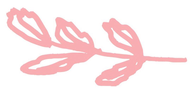 222会员钜惠日丨烂漫春华，二月如花,钜惠日丨,春华,广州大剧院,地点,海洋,星星,意大利,食堂,票价,音乐