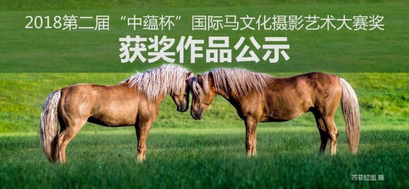2018第二届“中蕴杯”国际马文化摄影艺术大赛奖获奖作品展示(金奖、银奖、铜奖),中蕴杯,马文化,金奖,银奖,铜奖,内蒙古摄影家协会,雄风,苏亚拉图,西部,牛仔