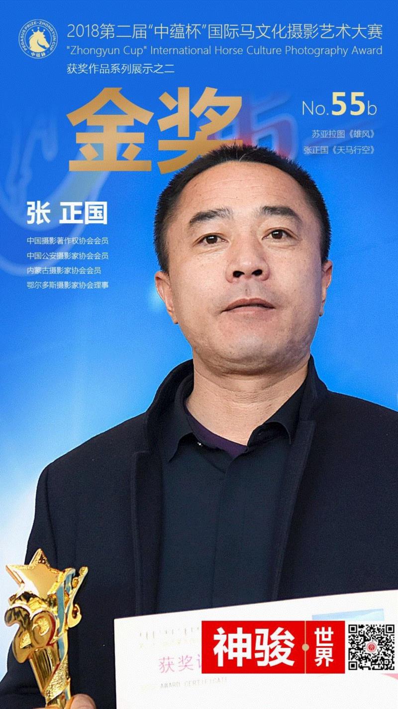 中国摄影著作权协会会员,2018第二届“中蕴杯”国际马文化摄影艺术大赛奖获奖作品展示(金奖、银奖、铜奖),中蕴杯,马文化,金奖,银奖,铜奖,内蒙古摄影家协会,雄风,苏亚拉图,西部,牛仔