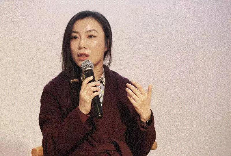 1.26纪录片首映+对谈回顾 | 传递社会关怀是艺术作品的价值所在,纪录片,建筑,Niki,妮基,今日美术馆,圣法勒,女性,法国,高鹏,青年