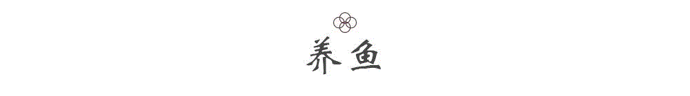 多数文人的书房内,都会择靠窗位设一盆池,养上锦鲤五七条;一面是赏玩之乐,一面是大志所托。“金麟岂是池