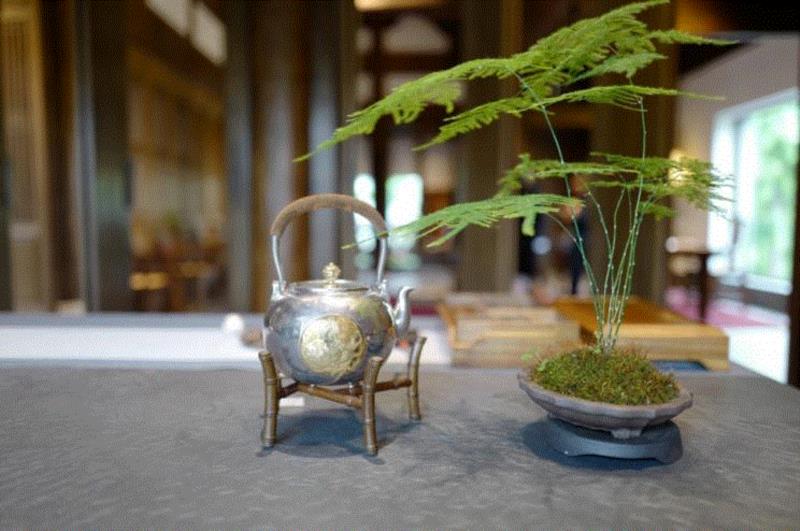 骨子里,我们都是文人,骨子里,书房,书斋,古人,琴声,水盂,养性,清趣,图书馆,植物