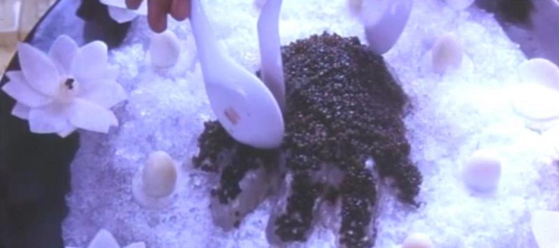 踏雪寻梅,下饭神剧,这部老港片看10遍都不会腻!,港片,神剧,欧嘉慧,赵港生,电影,廖杰,廖师傅,美食,贺岁片,喜剧