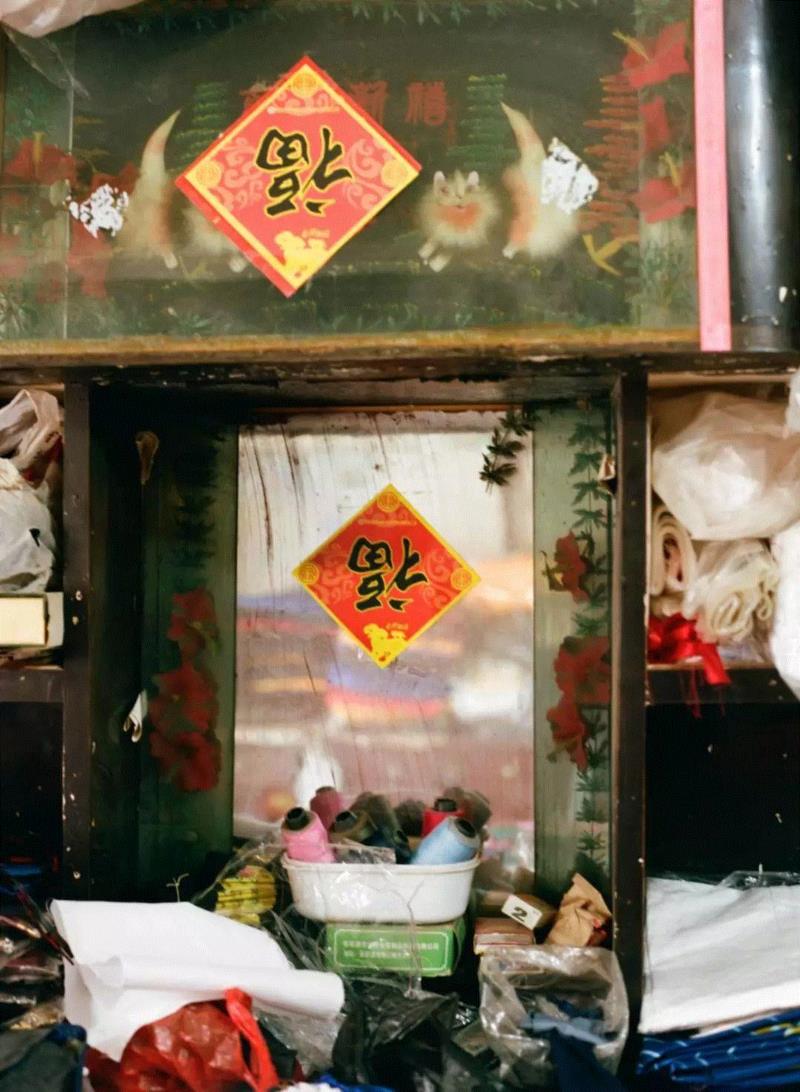 【SC?P｜照片故事】汪滢滢：探访“血地”的《洄》之旅,汪滢滢,出生地,馆陶,故乡,河北,父亲,摄影师,包衣,SCoP,杭州