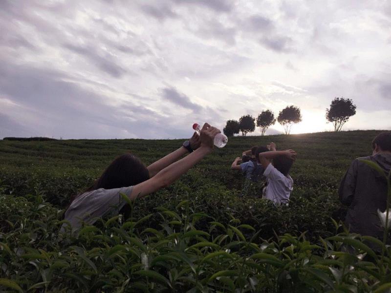 the way we are,图书馆,妈妈,moment,前段,满面,钟意,以下,明信片,杨梨,夏木阴阴正可人