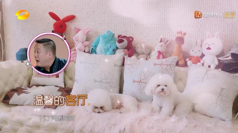过于真实的国产综艺,看完想把回家的车票撕了,综艺,车票,傅园慧,吴昕,爸爸,袁姗姗,爸妈,节目,一个人,爱情