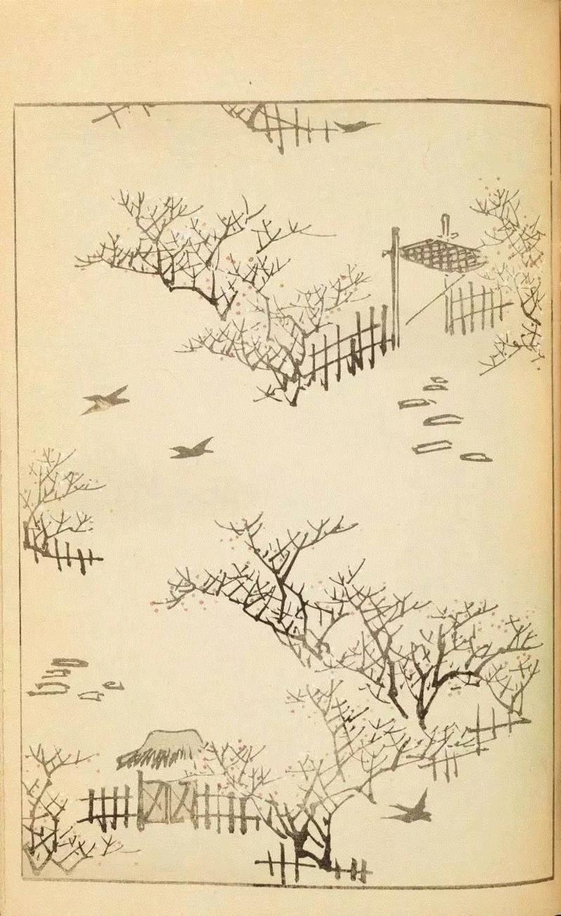 100多年前的日本设计杂志竟然可以美成这样,日本,当今,上方,美術海,设计师,画师,Korin,Furuya,扉页,小编