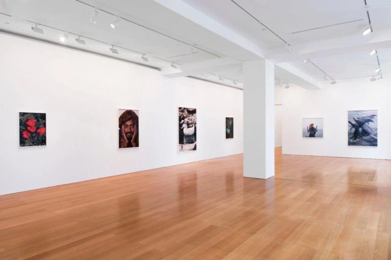 Roe Ethridge: Sanctuary, January 24-March 9, 2019,