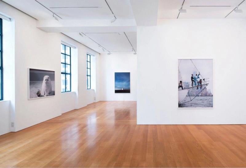 现场 | 罗伊·埃思里奇「避难所」正在高古轩香港展出,埃思里奇,罗伊,香港,高古轩,避难所,Roe,埃斯里奇,January,March,Gagosian
