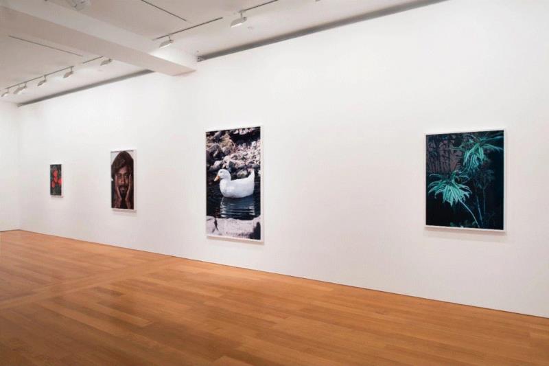 现场 | 罗伊·埃思里奇「避难所」正在高古轩香港展出,埃思里奇,罗伊,香港,高古轩,避难所,Roe,埃斯里奇,January,March,Gagosian