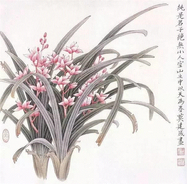 国画工笔兰花图，太美了！,工笔,兰花,国画,上方