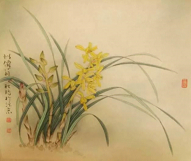 国画工笔兰花图，太美了！,工笔,兰花,国画,上方