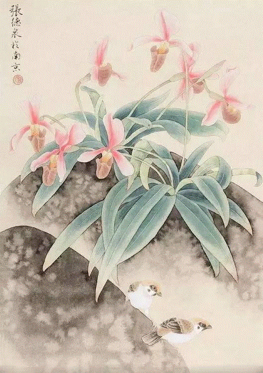 国画工笔兰花图，太美了！,工笔,兰花,国画,上方