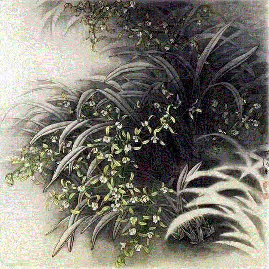 国画工笔兰花图，太美了！,工笔,兰花,国画,上方