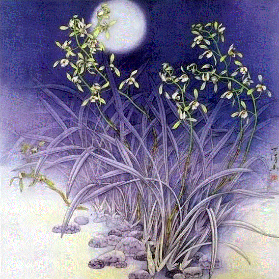 国画工笔兰花图，太美了！,工笔,兰花,国画,上方