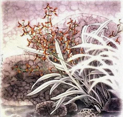 国画工笔兰花图，太美了！,工笔,兰花,国画,上方