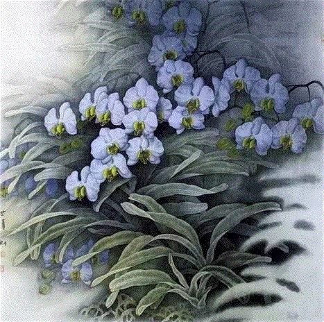 国画工笔兰花图，太美了！,工笔,兰花,国画,上方