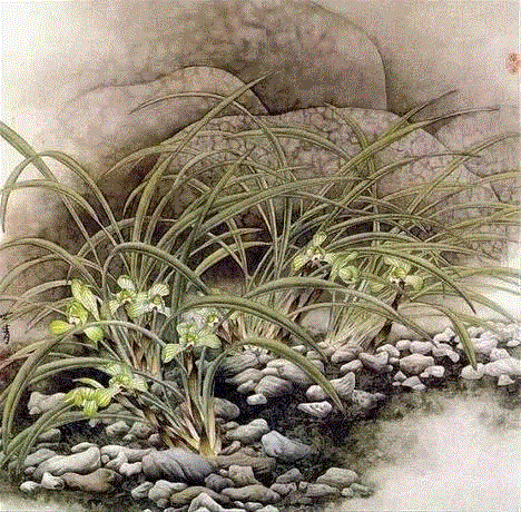 国画工笔兰花图，太美了！,工笔,兰花,国画,上方