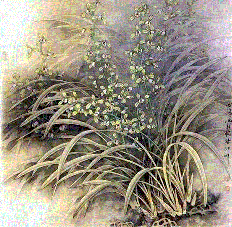 国画工笔兰花图，太美了！,工笔,兰花,国画,上方