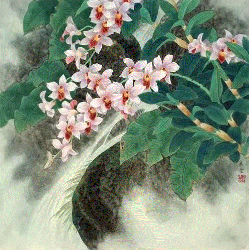 国画工笔兰花图，太美了！,工笔,兰花,国画,上方