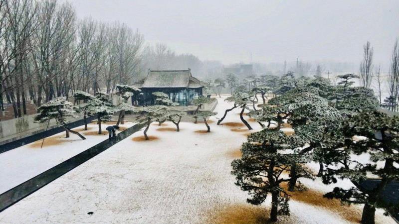 走进美术馆，赏岁寒三友,美术馆,地点,梅花,岁寒,根津美术馆,极简,隈研吾,松美术馆,松树,建筑